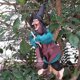 thumbnail image 3 of Laugh Witch Halloween Scary Hanging Witches Decorations Props Horror Haunted House, 3 of 4