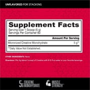 مسحوق BSN Micronized Creatine Monohydrate ، بدون نكهة ، 10.9oz ( 309g ) ، 60 حصة