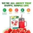 thumbnail image 2 of True Lemon Kids Wild Watermelon Drink Mix 10 - 0.12 oz Packets, 2 of 5