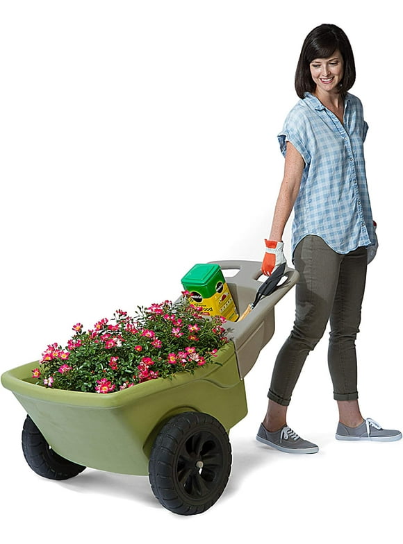 Wheelbarrows in Garden Center