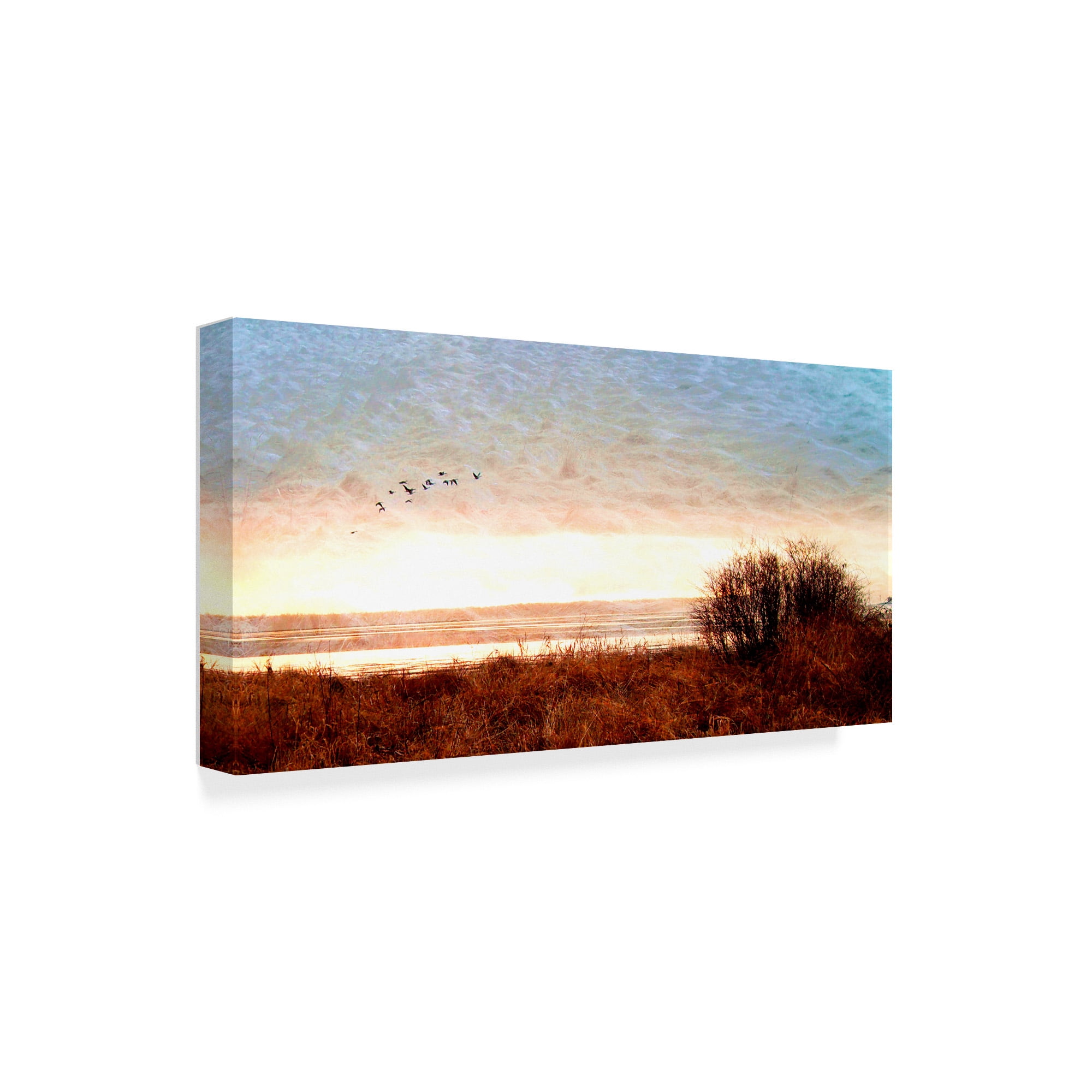 Trademark Fine Art 'Tide I' Canvas Art by Danielle Harrington