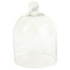 Benzara 8 Inch Glass Dome Shaped Terrarium, Small, Clear