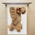 thumbnail image 4 of Coolnut Fingertip Hand Towels, Set of 2 Pcs Cute Puppy of Maltipoo Dog Posing Absorbent Face Bath Towels for Bathroom Kitchen, 30"x15", 4 of 6