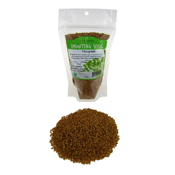 Organic Fenugreek Sprouting Seeds -1/2 Lbs (8 oz)- Seeds for Planting, Hydroponics, Growing Sprouts, Grinding For Spices & More
