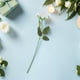 thumbnail image 5 of 10 flores artificiales de un solo tallo: rosas artificiales realistas con tallos - Flores falsas para ramos de boda, decoración del hogar y fiestas, 5 of 5