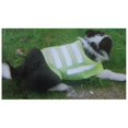 thumbnail image 2 of BRITEGUARD Neon Yellow Medium Pet Vest | Tailored for 14" (35.6 cm) Dog Body Length | Reflective Strips | Adjustable Straps with 3" (7.6 cm) Variance | Ultimate Evening Safety, 2 of 2