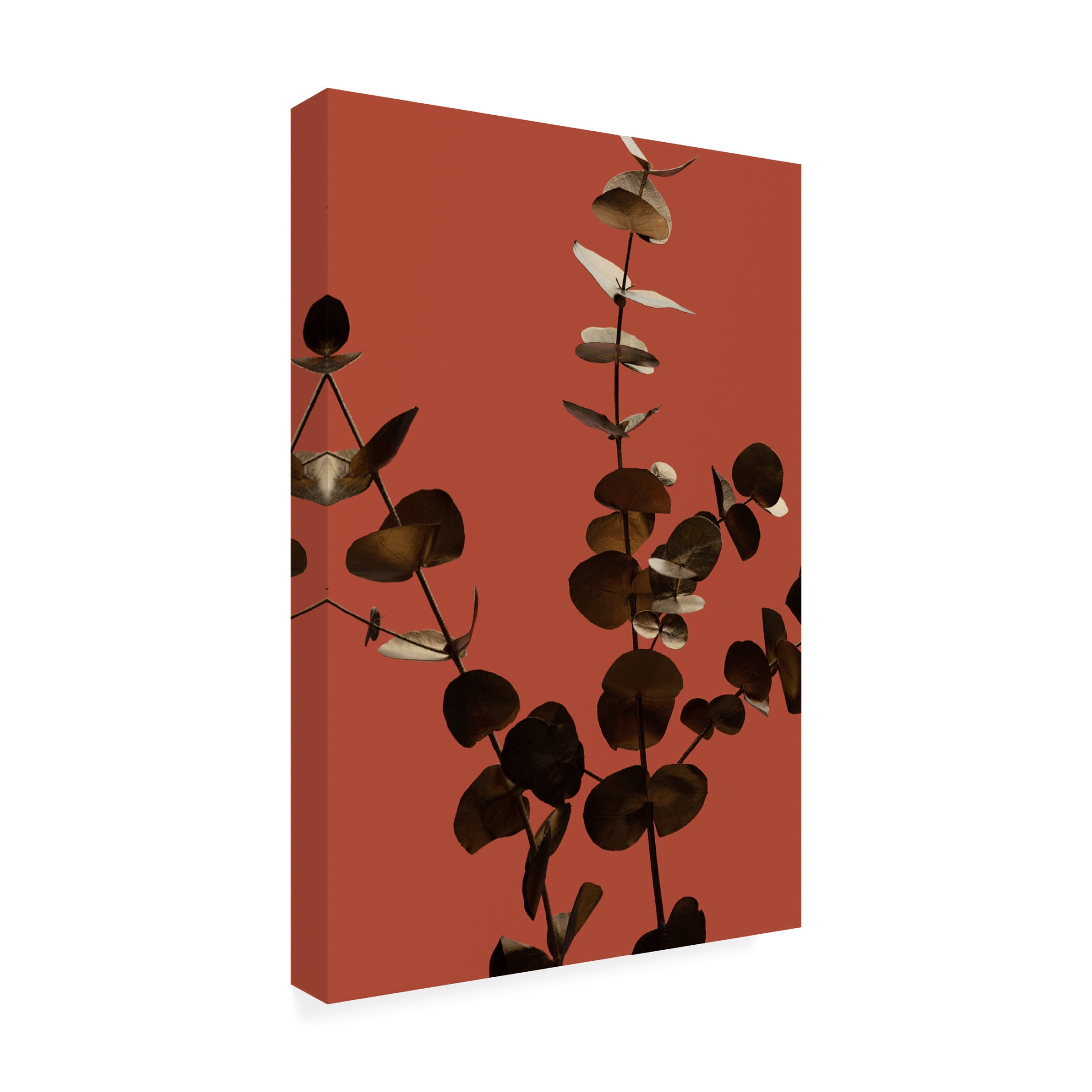 Canvas Wall Art - Pictufy Studio Iii 'Eucalyptus Gold Rust 01' Wall Art for Living Room, Bedroom, or Office D?cor by Trademark Fine Art - 30 x 47 Inches