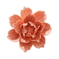 thumbnail image 1 of Naiovety Flores de cerámica para colgar en la pared, manualidades pastorales para el hogar, adhesivo para el salón, TV, Hotel, tienda de Decoración del hogar Naranja Medio, 1 of 6