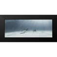 thumbnail image 2 of Kiefer, Ken 14x8 Black Modern Framed Museum Art Print Titled - Tigers On Parade, 2 of 5