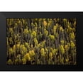 thumbnail image 2 of Stalowy, John 14x11 Black Modern Framed Museum Art Print Titled - Alaska in Fall, 2 of 5