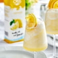 thumbnail image 4 of Island Oasis Lemonade Puree Beverage Mix - Made with Real Lemon and Cane Sugar, 1 Case, 4 of 4