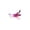 B, variant on Feather Wand Replacement for Cat - Bird Shape Pet Teaser Refill, Realistic Fly Beetle Design for Interactive Feline Play - Multicolor