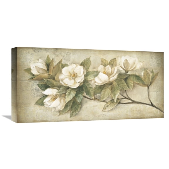 Global Gallery Albena Hristova 'Sugar Magnolia Vintage' Canvas Wall Art