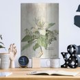 thumbnail image 6 of Luxe Metal Art 'Magnolia de Printemps v2' by Sue Schlabach, Metal Wall Art, 12"x16", 6 of 9