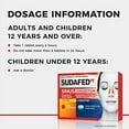 thumbnail image 3 of (3 pack) Sudafed PE Day and Night Sinus Pressure & Congestion Tablets, 20 Count, 3 of 4