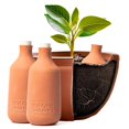 thumbnail image 4 of Maceta Olla de terracota con riego automático Back to the Roots, 700 ml (paquete de 3), 4 of 9