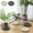 💖 Beige_New#2125, variant on Kuroiy Heavy-Duty Movable Plant Cart | Plastic Roller Base with Hidden Silent Casters | Removable Water-Storage Tray | Textured Non-Slip Surface | Beige or Gray | 22×19.3×5.2 cm