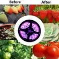 thumbnail image 4 of Solar Plant Grow Light Strip, LED Grow Lamp Strip Heat Dissipation Reliable High Luminous Flux 9.8ft With Battery Protection Box For Greenhouse, 4 of 8