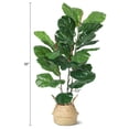 thumbnail image 2 of Yeshouse Ficus lyrata artificial de 99 cm (39 pulgadas), planta artificial en maceta con hojas realistas y tronco de madera natural, 2 of 7