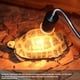 thumbnail image 5 of 8 Bombillas de Luz UVA+UVB para Reptiles, para Reptiles, Serpientes, Tortugas, Mascotas, de Espectro Completo, para Tomar , Luz de Calefacción., 5 of 5