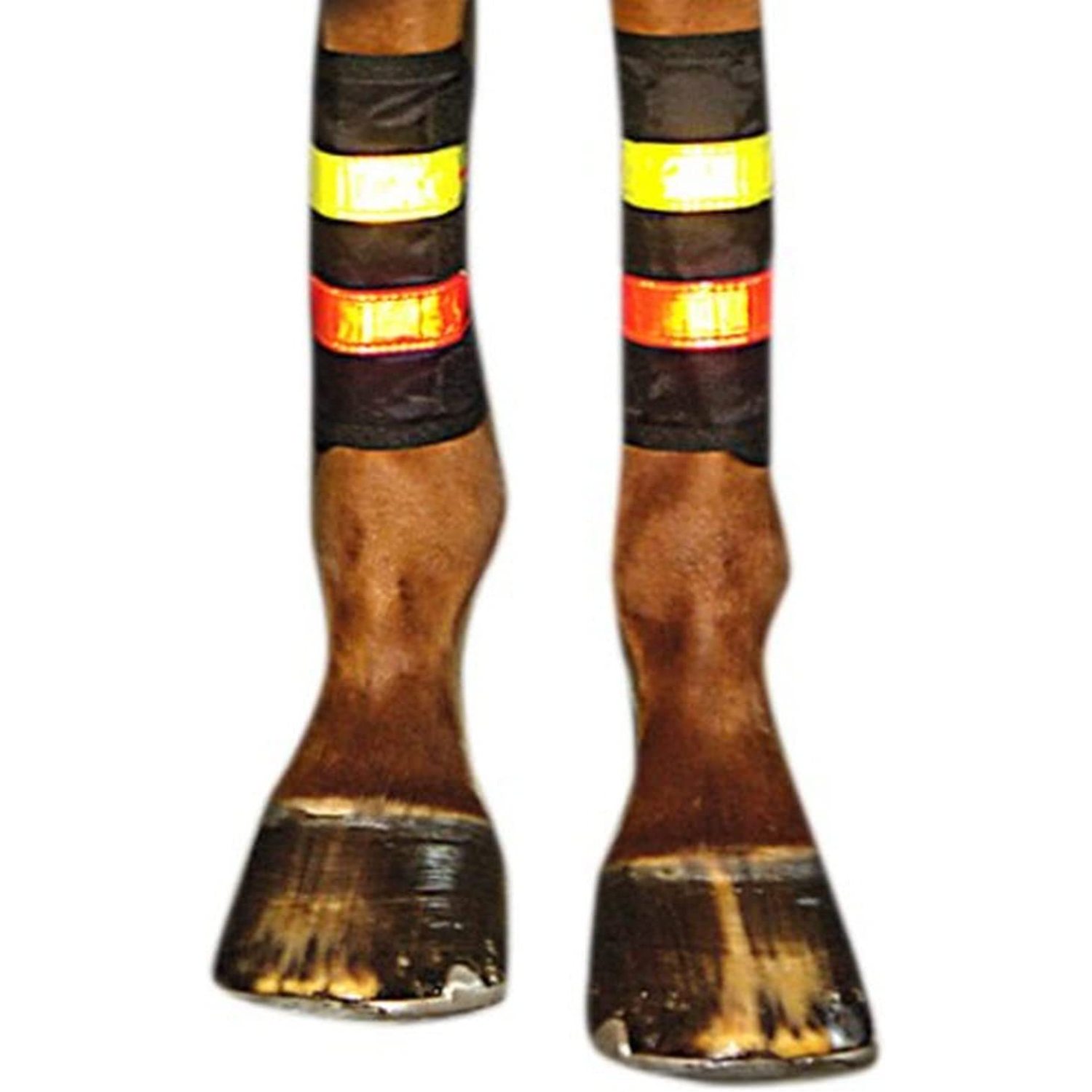 Reflective Leg Wraps, Reflective leg wrap for horses