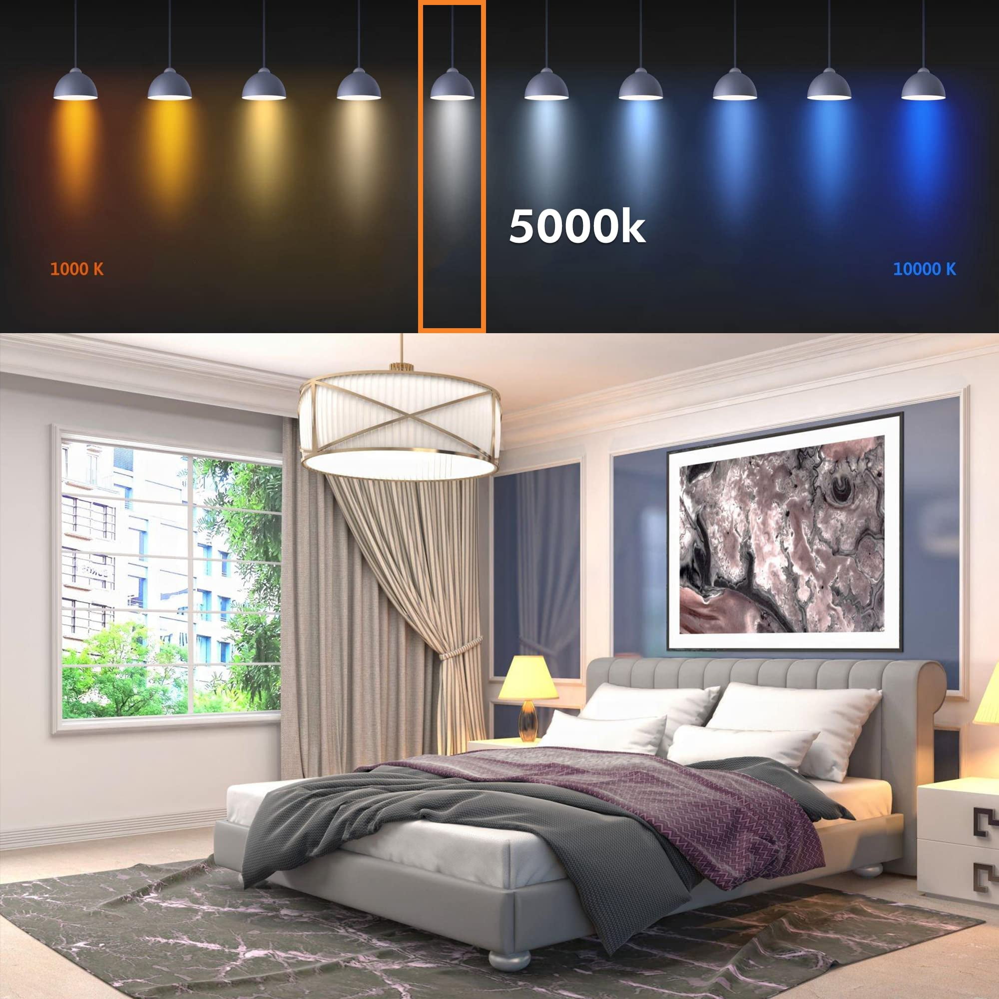 Xtricity Compact Fluorescent Light Bulb T2 Spiral, E26 Base, 5000k Daylight, 9W, (6 Pack)