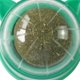 thumbnail image 2 of Pelota de hierba gatera Juguetes para gatos Lamiendo dientes Masticando Entrenamiento de mascotas Bolas de mordida (Verde), 2 of 2
