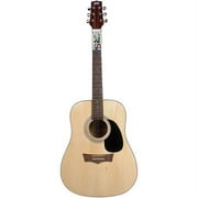 Peavey Acoustic Guitar