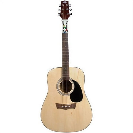 Peavey Acoustic Guitar