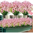 thumbnail image 1 of 20 piezas-flor de simulación-violeta rosa Ofspeizc CZJJ-HQ3-2, 1 of 7
