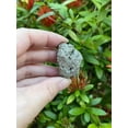 thumbnail image 2 of GAF TREASURES Wholesale Raw Pyrite Crystals, Natural Pyrite Stone, Natural Rough Pyrite Crystals, Pyrite Rough, Pyrite Healing Crystals (Pyrite, 0.25 Pound), 2 of 8