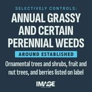 IMAGE Casoron Weed Preventer Granules Herbicide, RTU, 8 lb.
