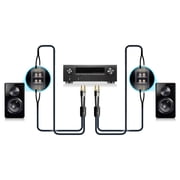 SVS SoundPath Ultra Bi-Wire 10Ft Banana