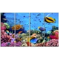 thumbnail image 2 of Coral Colony on Reef Egypt - Oversized Animal Wall Art, 2 of 3