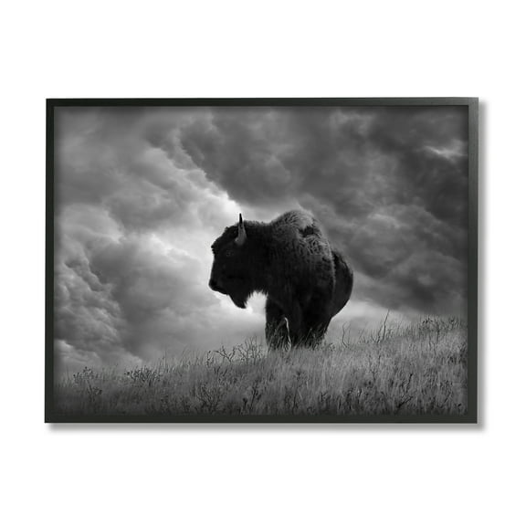 Stupell Industries Ox in Cloudy Landscape Animals & Insects Photography Black Framed Art Print Wall Art, 14 x 11