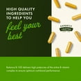 thumbnail image 3 of Swanson High Potency Balance B-100 Complex Capsules, 300 Count, 3 of 8