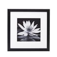 thumbnail image 6 of MelanncoS9 13X13 MATTED 8X8 MDF FRAMES- BLCK, 6 of 7