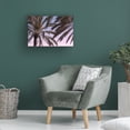 thumbnail image 2 of Trademark Fine Art Pictufy Studio III Palm 12 Canvas Wall Art, 2 of 4