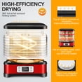 thumbnail image 3 of Qhomic Food Dehydrator Machine 8 Trays Professional Electric Multi-Tier Food Preserver for Jerky Maker/Fruit/Vegetable Dryer(Red）, 3 of 9