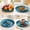C_New#396, variant on Dinner Plates with Deep Rim for Serving Salad and Pasta, Microwave and Dishwasher Safe Reusable Plates