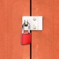 thumbnail image 1 of Dsscvnef Locks With Keys [Aluminum Lock ] Locker Lock Lock Outdoors Padlock With 2 Keys Locks for School Gym Locker Garage Fence, 1 of 4