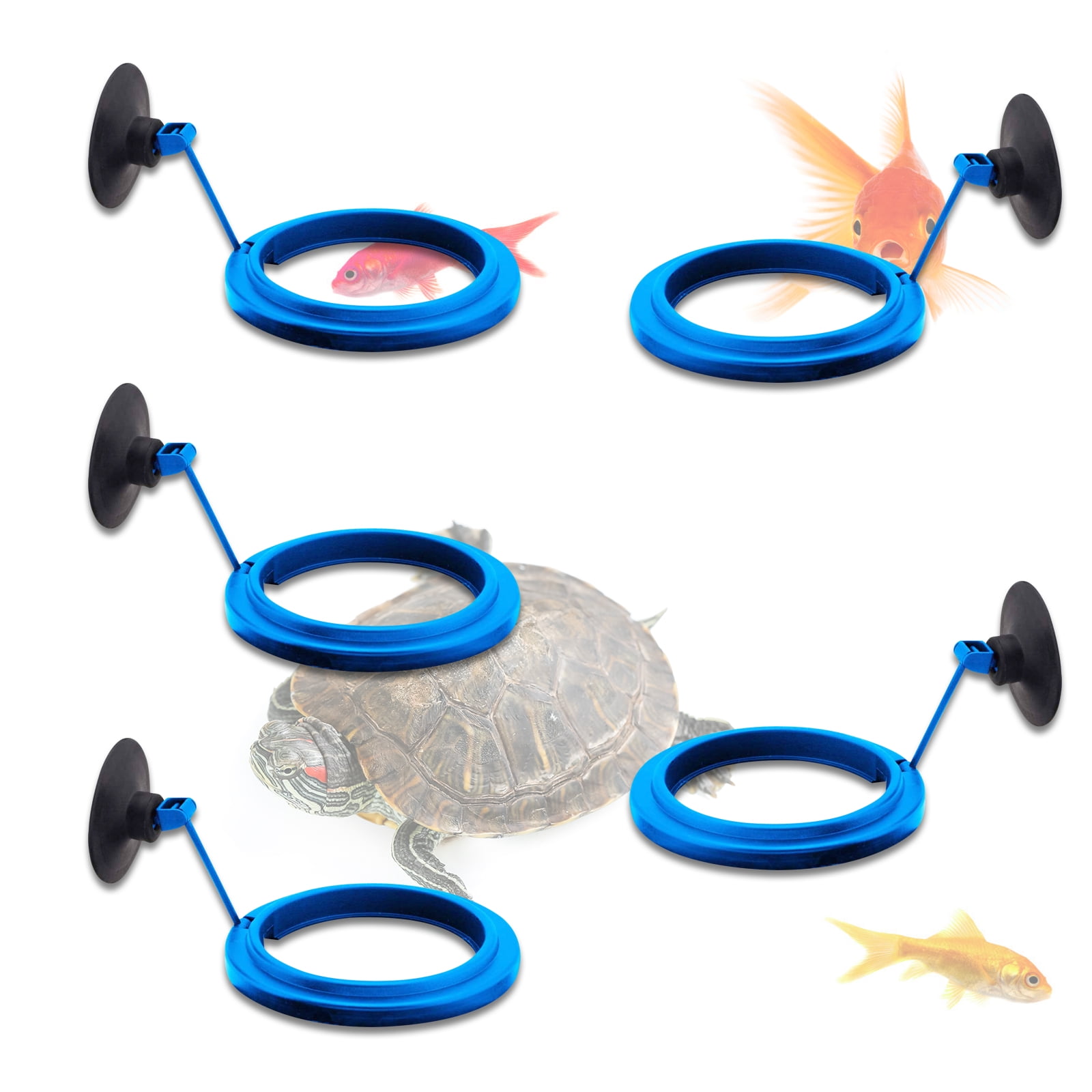 Fish Feeding Ring Floating Suspension, Feeding Circle Aquarium Fish
