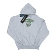 thumbnail image 1 of Harry Potter Mens Slytherin Sport Emblem Hoodie, 1 of 5