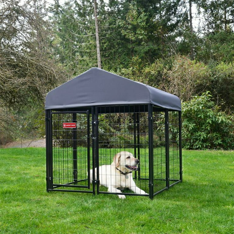 Lucky Dog Lodge - dog activities  Dog playground, Dog kennel outdoor, Outdoor  dog