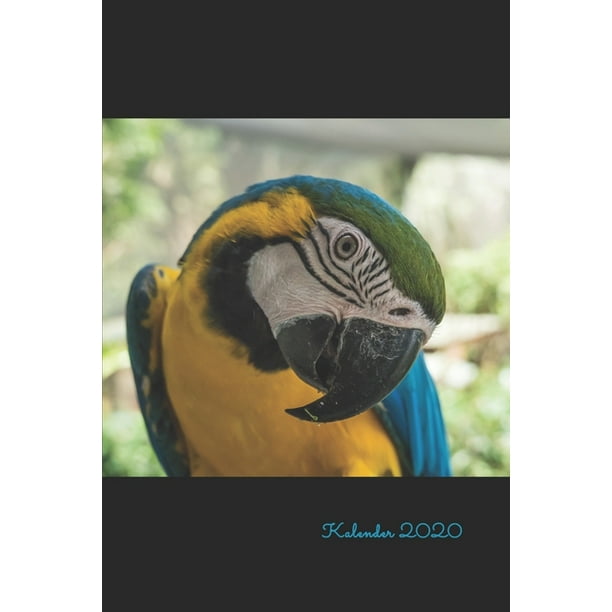 Ara Jahresplaner Terminplaner Kalender 2020 Bunter Papagei Din A5 Vogelliebhaber Geschenke Paperback Walmart Com Walmart Com
