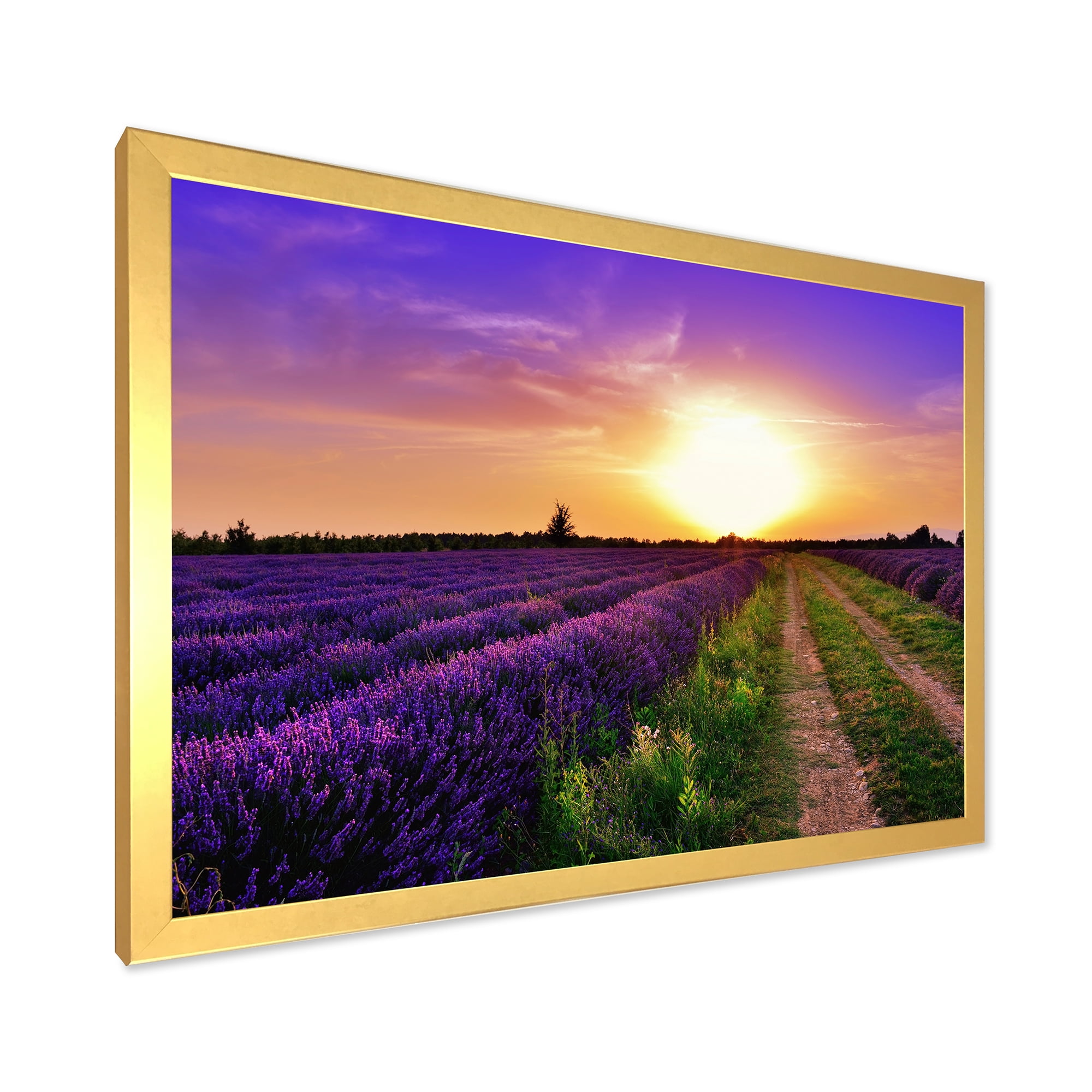 Designart 'Lavender Field At Sunrise II' Farmhouse Framed Art Print