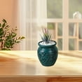 thumbnail image 5 of Diceymbol Mini Imitation Ceramic Vase 5-Inch Decorative Container for Fresh/Dried Flowers Tabletop Centerpiece Stylish Home Accent Piece, 5 of 7