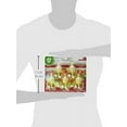 thumbnail image 3 of (5 pack) Air Wick Plug-In Air Freshener Scented Oil Refills, Apple Cinnamon Medley, 5 Count, 3 of 12