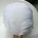thumbnail image 4 of Observaciones para pedidos de compra: 10 piezas por paquete 45-50 varilla delgada pluma de avestruz puesta en escena pluma blanca boda decoración DIY plumas coloridas/avestruz ANGGREK Otros, 4 of 8