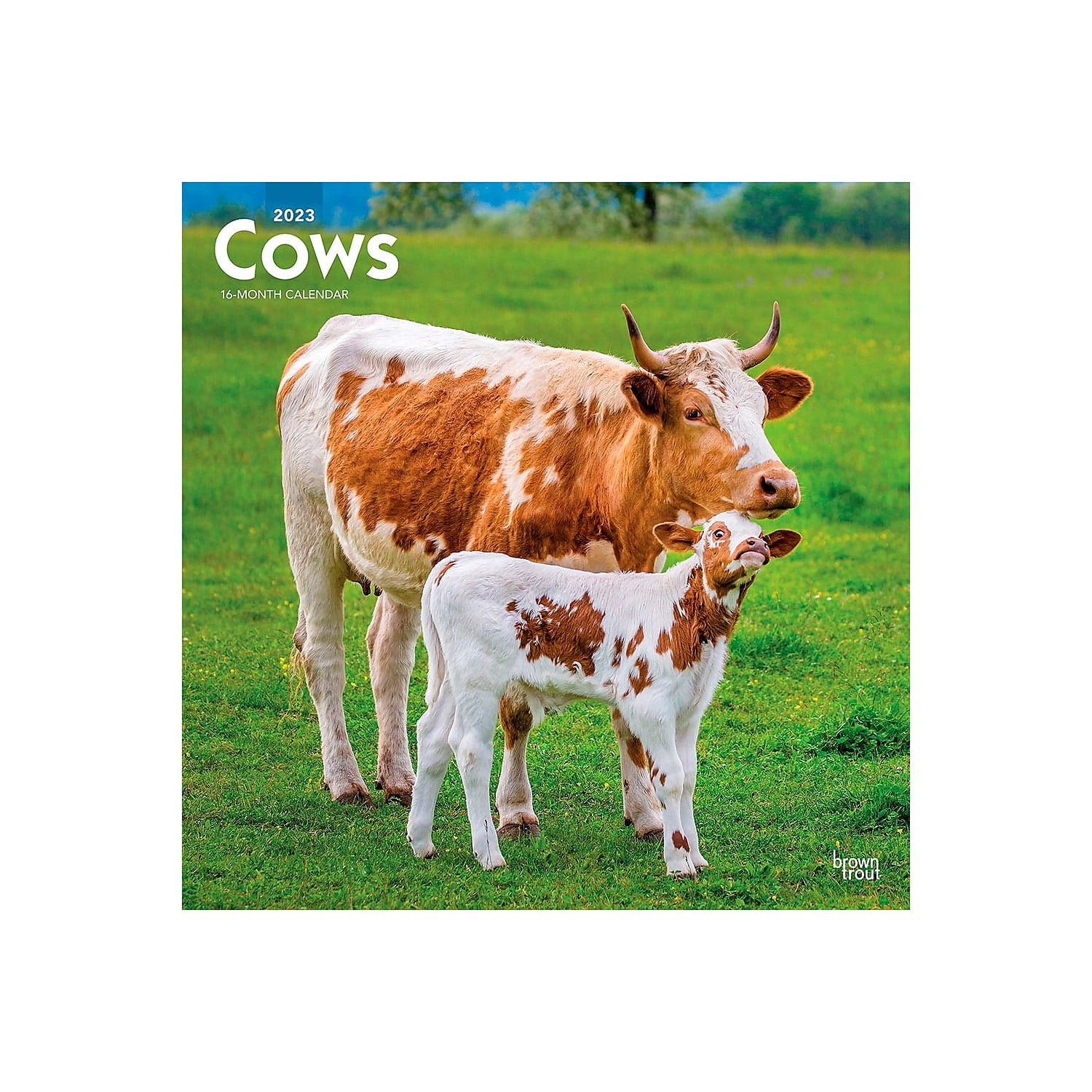 2023 BrownTrout Cows 12'' x 12'' Monthly Wall Calendar (9781975451554)